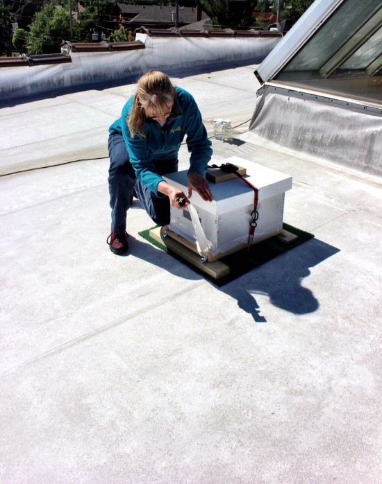 The Bristol installs beehive on roof. 