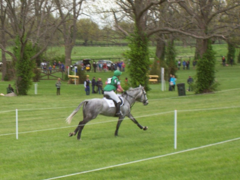 Horse and rider gallop to their next obstacle on course in cross country.