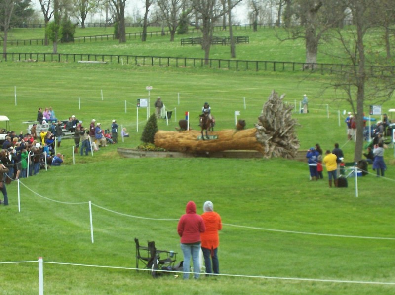 A competitor takes the Dueling Fallen Tree obstacle.
