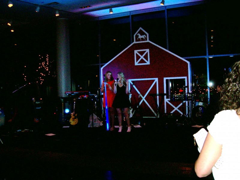 2013 Ferdinand&#039;s Ball