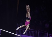 Kellloggs tour of gymnastics champions