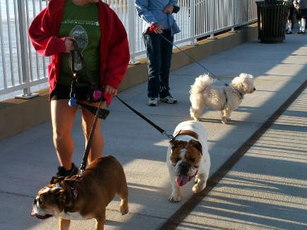 The Big Four is pet-friendly; quite a few dogs were out and about on the first day.