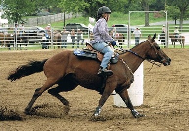 Retired Thoroughbred Crafty K.C. (Catch Me If U Can) shows off her style in her new career as a barrel racer and pole bending horse.