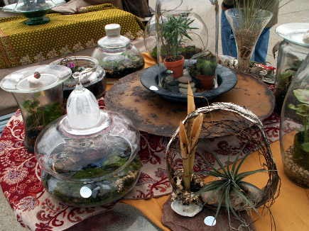 Don&#039;t have a garden? A terranium might be just what you need.