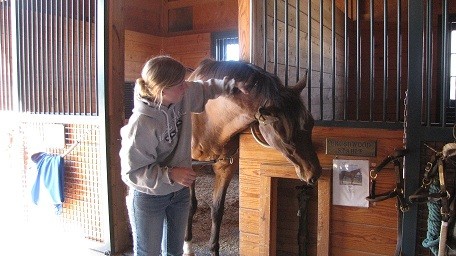 Thoroughbred Rugby gets a neck rub from visitor Carly Dolan at the Makers Mark Secretariat Center.