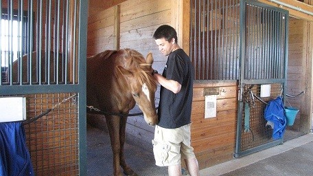 U of K marketing Intern Alex gives one of the Thoroughbreds a little attention at the Makers Mark Secretariat Center.