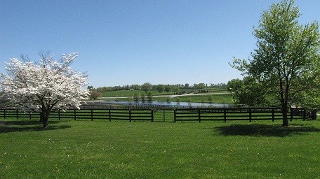 A beautiful spring view of Old Friends Equine&#039;s pastures.