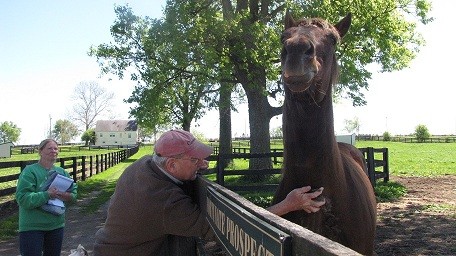 Old Friends resident Gulch enjoys getting some of his winter coat rubbed off his chest by Founder Michael Blowen.