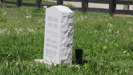 Old Friends resting place for Thoroughbreds inducted into the Jockey Club&#039;s Hall of Fame. This is Skip Away&#039;s headstone.