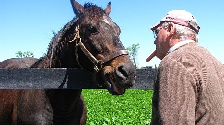 Old Friends equine resident Patton enjoys a carrot from Founder Michael Blowen.