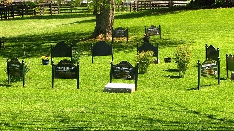 The final resting place for the equine residents who have passed on to greener pastures at Old Friends.