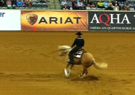 Lyle Lovett on Mistress With A Gun competing in the CRI3*.