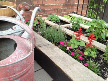 Garden on patio