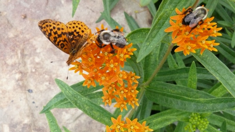 2:20 by Linda Murdoch