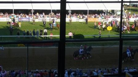 A view from the enclosed upper grandstand as the Preakness contenders are saddled on the turf course.