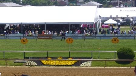 The Preakness contenders each get a name marker along the track.