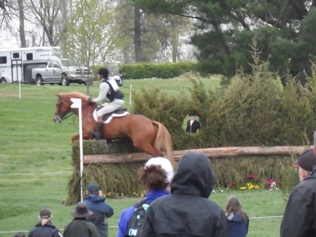 Horse and rider take a brush obstacle on the cross country course.