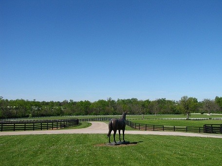 A statue of the late great Secretariat appears to be gazing out over the beautiful paddocks of the Makers Mark Secretariat Center.