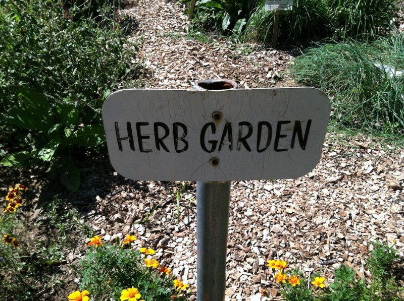 The Herb Garden :)