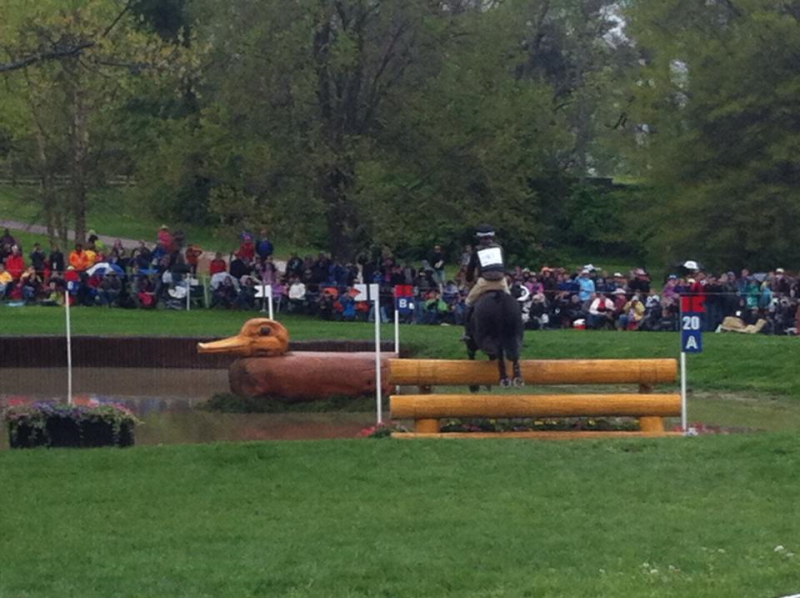 Rolex horse and rider tackles one of the water complex obstacles.