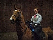 Zubrod Saddle Seat Show first place ribbon.