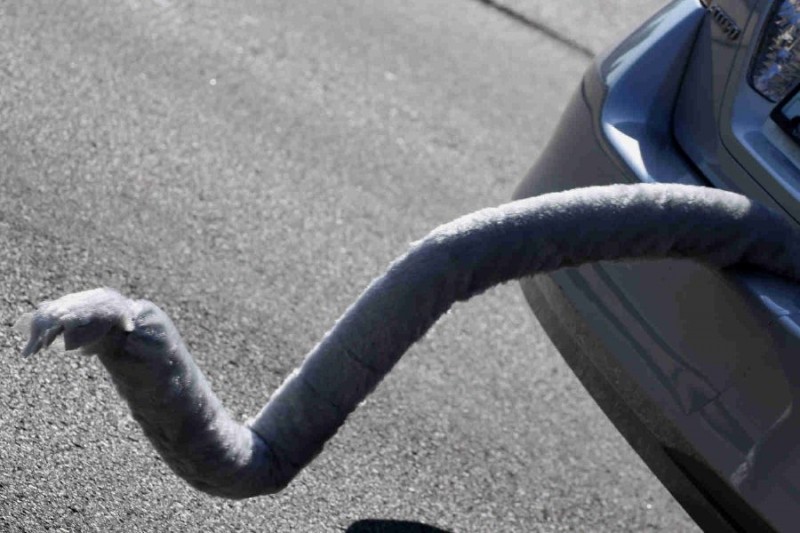 ...and that car must have a tail