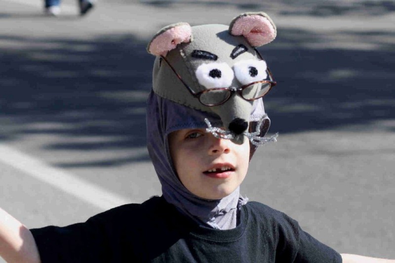 Looks like a smart little rat enjoys the parade