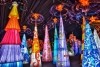 kchneider@ajshotels.com's picture
