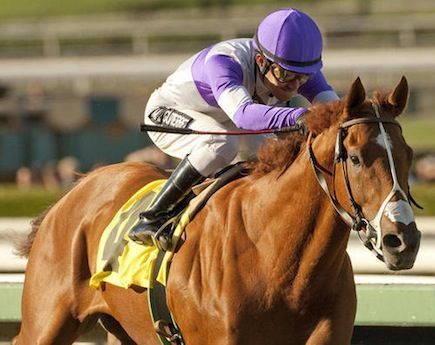 Kentucky Derby 138 horse profile: I'll Have Another [Horse racing]