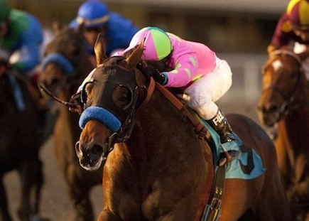Kentucky Derby 138 horse profile: Liason [Horse racing]