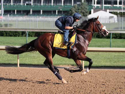 Union Rags dusts Paynter in final strides of Belmont Stakes [Horse Racing]