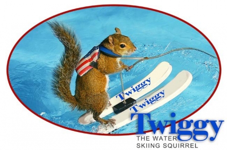 Twiggy the Water-skiing Squirrel headlines the Louisville Boat, RV & Sportshow