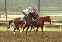 Seeking: paid extras for '50 to 1,' the story of 2009 Derby winner Mine That Bir
