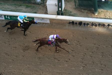 I'll Have Another's spectacular run ends one day before the Belmont Stakes