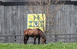 The results are in and the 2012 Kentucky Equine Survey shows horses mean billion