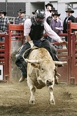 The 2012 North American Livestock Expo is coming to Louisville’s Kentucky Exposi