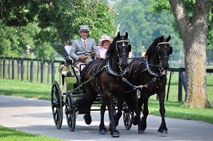 It is Carriage Driving weekend at the Kentucky Horse Park on June 28-30