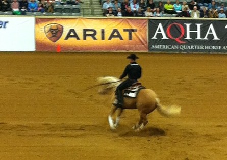 The Kentucky Reining Cup will be back with the top reining riders and horses wit