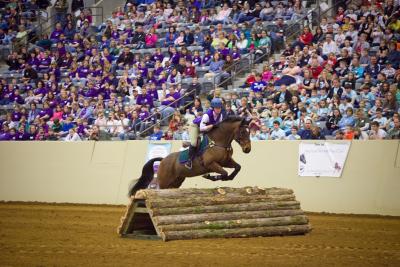 The 2013 Kentucky Equine Youth Festival is coming to the Kentucky Horse Park