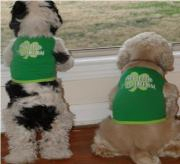 The Metro Animal Service’s dogs will be wearing “40 Shades of Green” at Louisvil