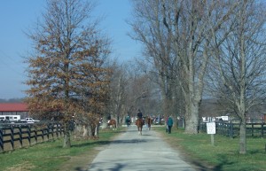 Hunter horse show to be held at Stone Place Stables on April 21. 2013