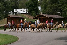 Equestrian and active duty military news from Kentucky’s Land Between the Lakes 