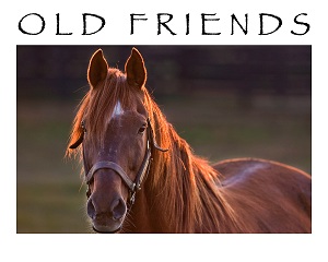 The 5th annual Old Friends Along the Kentucky Bourbon Trail fundraiser to be hel