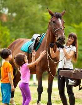 Kentucky Round-Up coming to the Kentucky Horse Park on February 2 with equine ed