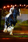 Apassionata: The Beginning live equestrian theatrical production launching its U