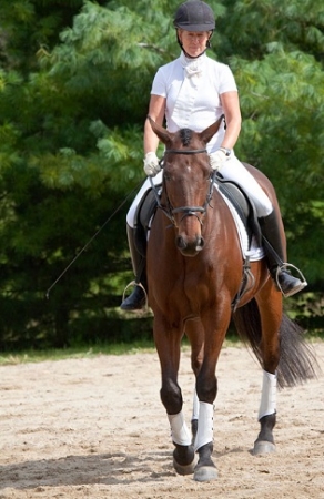 Spring Run Stables to host their Spring Dressage Show