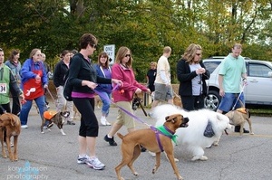 Million Mutt March to benefit adoptable pets and those who love them