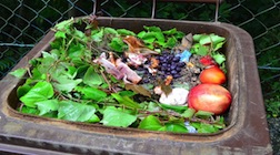 How to keep your compost pile cookin' this winter