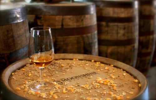 Learn to Make Bourbon at Moonshine Univeristy